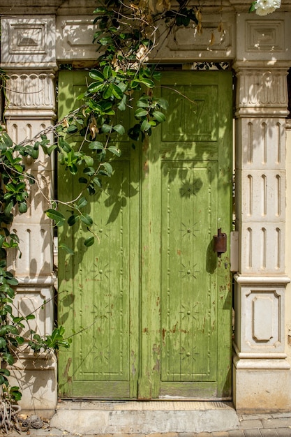 Vertical shot of a unique design of a wooden green door