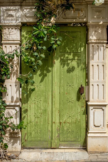 Vertical shot of a unique design of a wooden green door