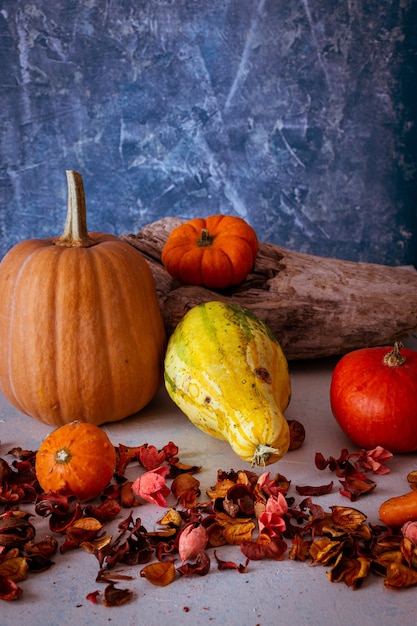 Vertical shot of various squashes