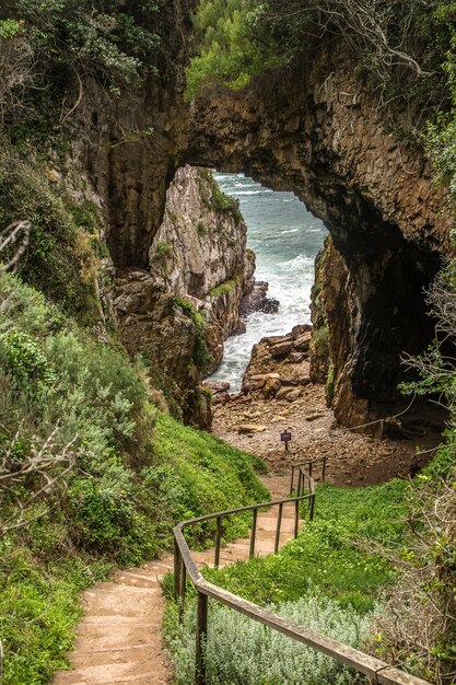 Vertical shot of a walkway going down through the forest with trees and grass