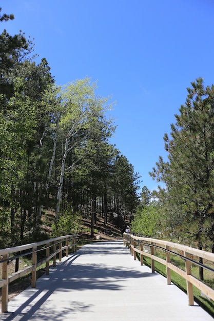 Вертикальная съемка дорожки с деревянным забором посреди леса