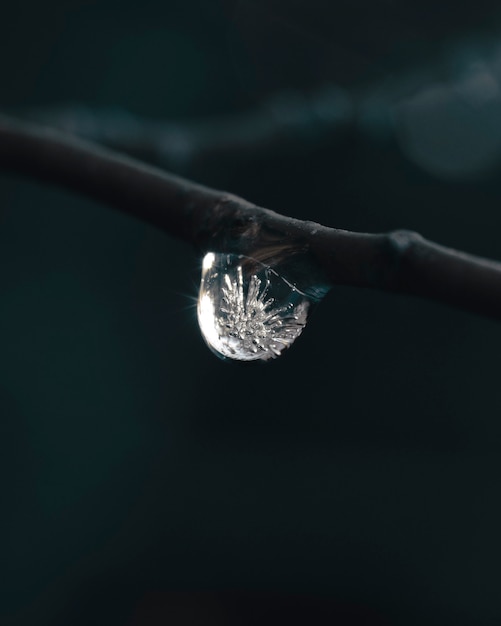 Free photo vertical shot of a water droplet freezing