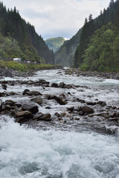 曇り空の下で木の真ん中にある岩の間を流れる水の垂直ショット