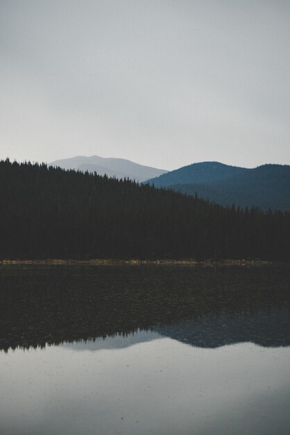 Vertical shot of water reflecting the forested mountain under a cloudy sky