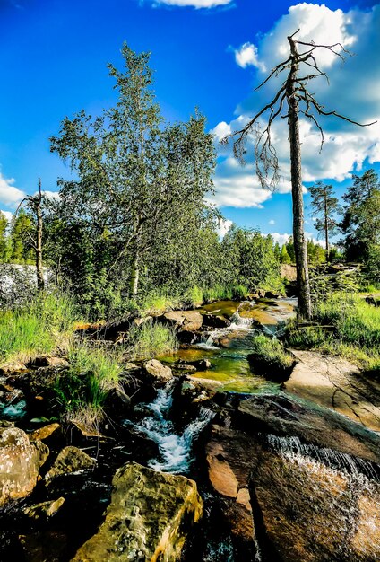 Vertical shot of a water stream flowing in the middle of the rocks surrounded by nature in Sweden