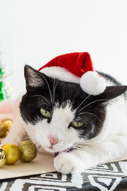 Vertical shot of white and black cat with Christmas Santa Claus hat with ornaments on a table