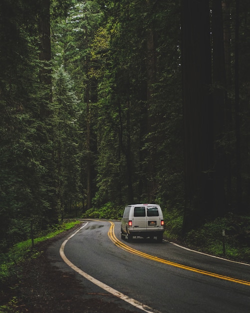 Foto gratuita colpo verticale di un furgone bianco che guida su strada nel mezzo di una foresta con alberi ad alto fusto verdi