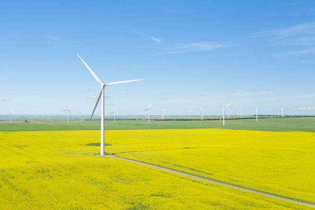 昼間の広いフィールドでの風力発電機の垂直ショット