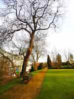 Free photo vertical shot of a wooden bench surrounded by the trees of the park