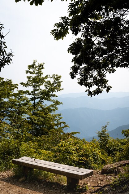 晴れた日の山々の景色を望む木製のベンチの垂直ショット