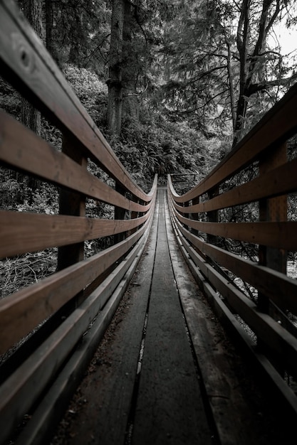 日光の下で木々に覆われた森の中の木造橋の垂直ショット