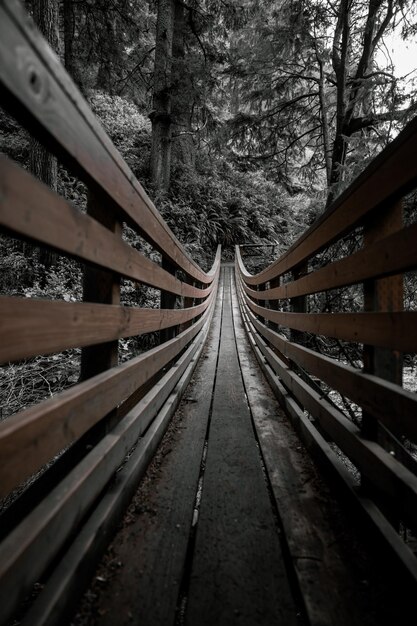 Вертикальный снимок деревянного моста в лесу, покрытом деревьями при дневном свете