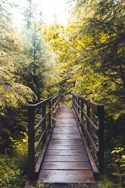 Free photo vertical shot of a wooden bridge in the middle of the forest