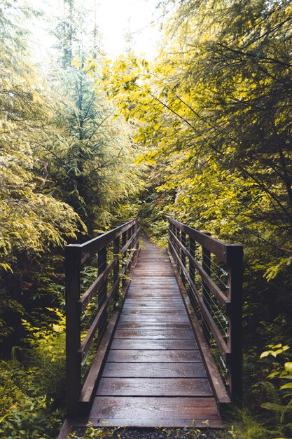 森の真ん中にある木製の橋の垂直ショット