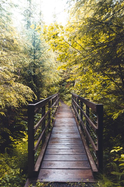 Vertical shot of a wooden bridge in the middle of the forest