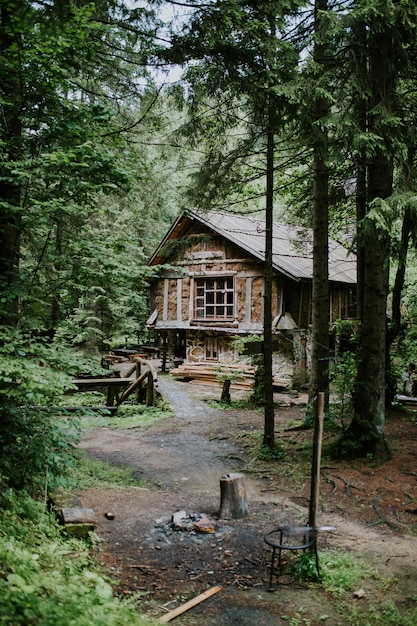 Vertical shot of a wooden cabin in the woods surrounded by tall trees on a sunny day