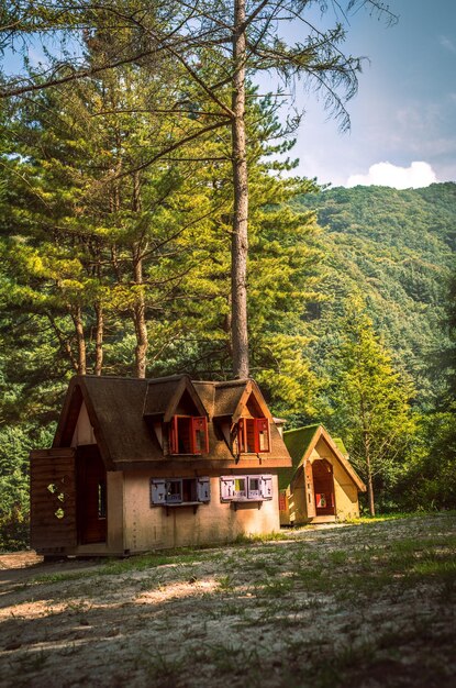 Vertical shot of wooden cabins in a forest covered in greenery in South Korea