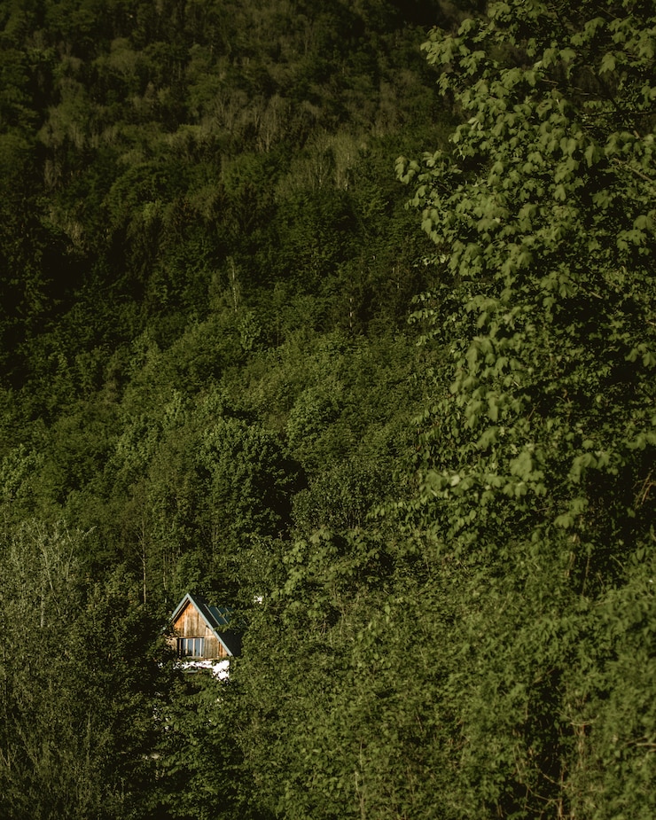 무료 Photo 숲에서 녹지로 둘러싸인 목조 주택의 세로 샷