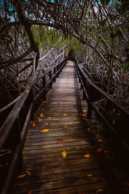 Vertical shot of a wooden pathway with a fence in the middle of trees