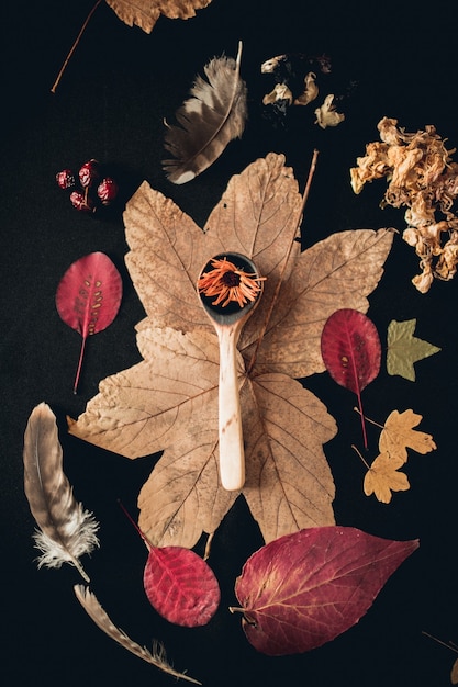 Free photo vertical shot of a wooden spoon surrounded with different plants leaves and feathers