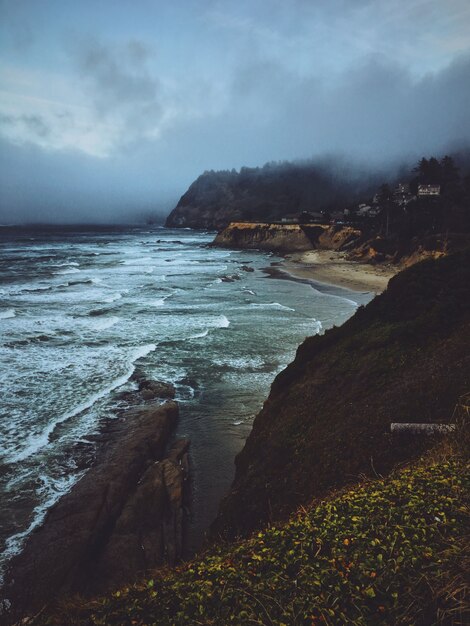 Vertical shot of yellow flowers on a hill near a beach with mountain and fog in the background