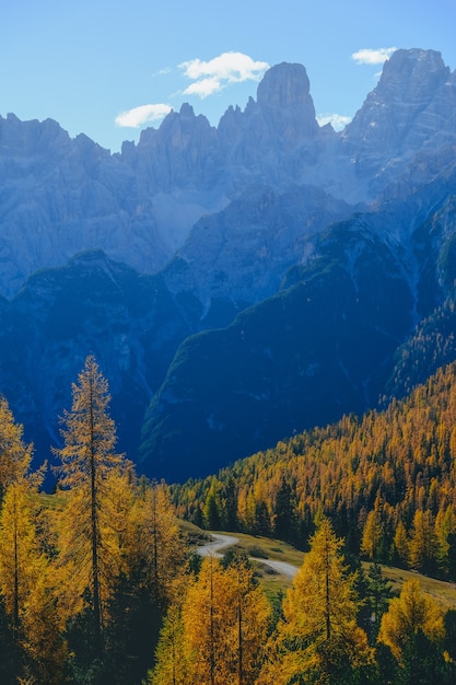 Vertical shot of yellow trees and mountains with blue sky in the background