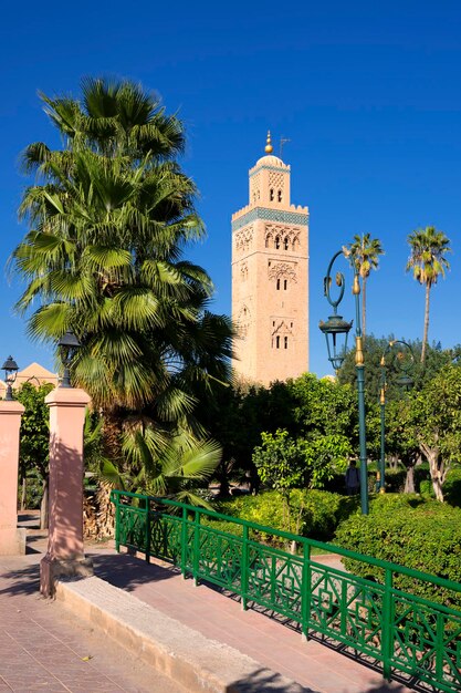 Vertical view of famous Koutoubia mosque with garden