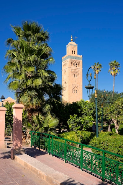 Vertical view of famous Koutoubia mosque with garden