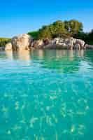 Free photo vertical view of famous rock at santa giulia beach