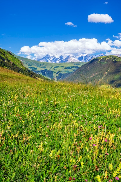 Free photo vertical view of french alps in summer