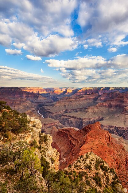 Vertical view of Grand Canyon, USA.