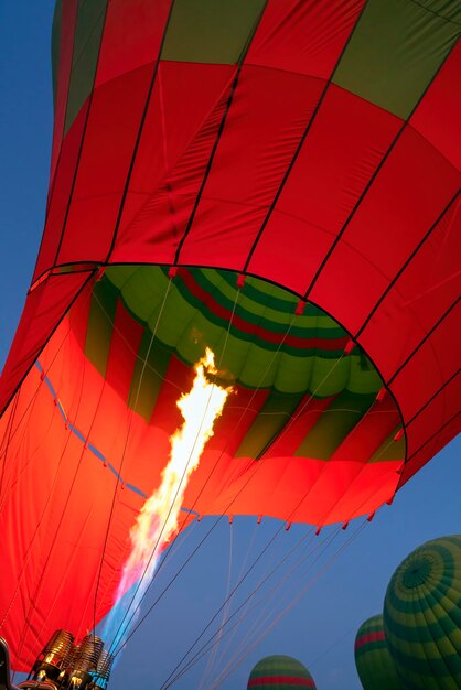 Vertical view of hot air balloons