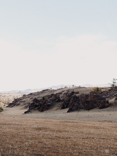 Vertical view of rocks with a little vegetation at sunrise