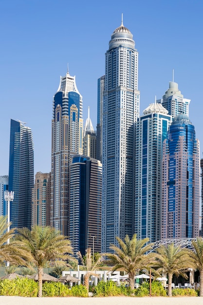 두바이에있는 고층 빌딩과 야자수의 세로보기. UAE