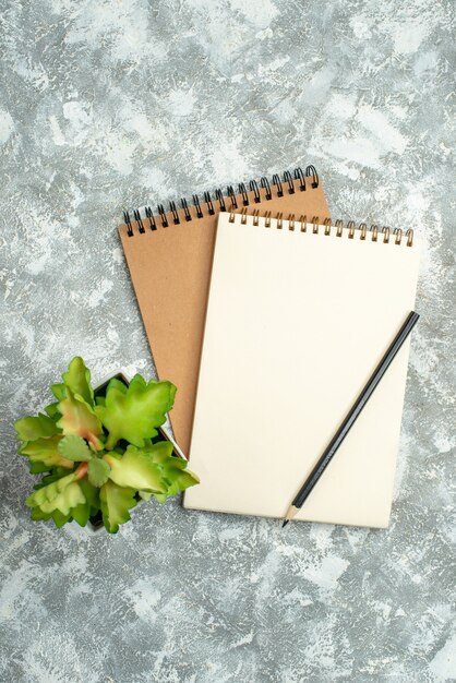 Vertical view of two kraft spiral notebook with pen and flower pot on ice background