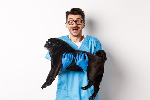 Vet clinic concept. Happy male doctor veterinarian holding cute black pug dog, smiling at camera, white background.