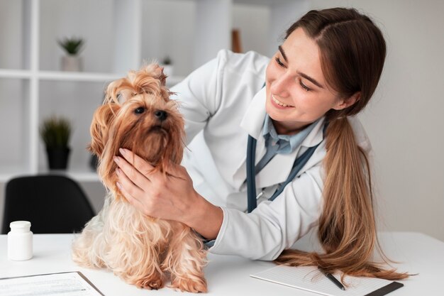 Veterinarian check-ing puppy's health