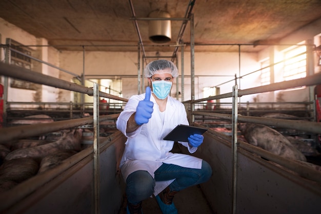 Foto gratuita medico veterinario con la compressa che tiene i pollici in su nel porcile all'allevamento di suini