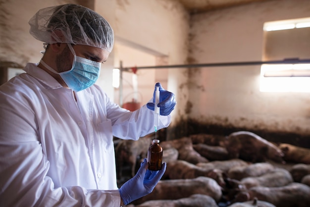 Veterinarian in protective clothes holding syringe with medicine at pig farm