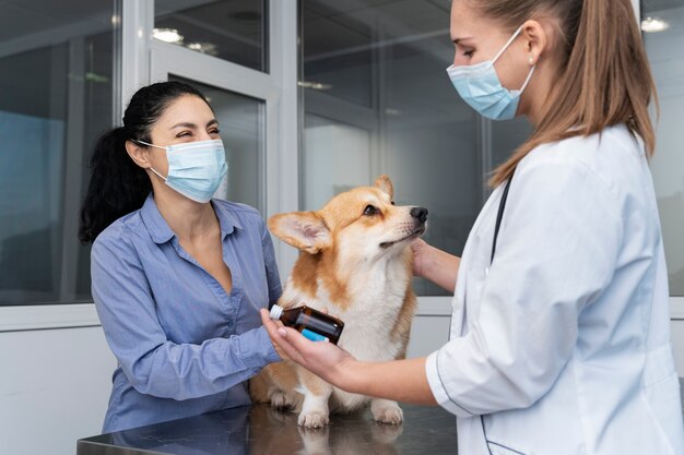 Veterinarian taking care of pet dog