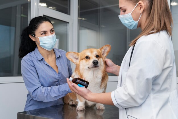 Veterinarian taking care of pet dog