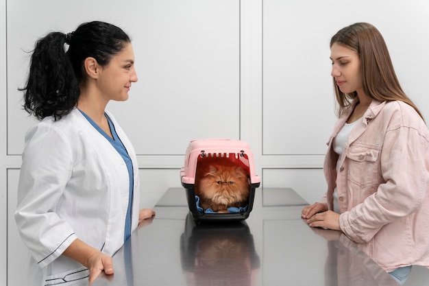 veterinarian taking care of pet