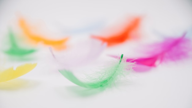 Vibrant colorful feathers in pile