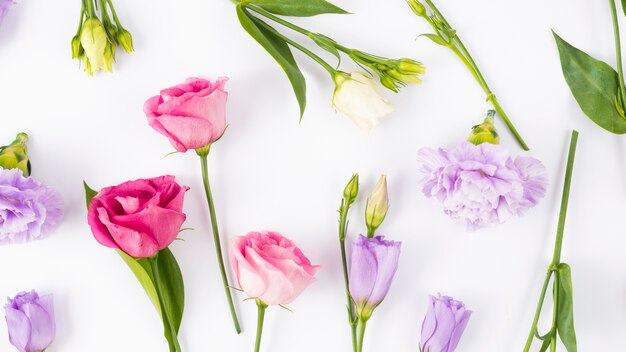 Vibrant flowers and leaves composition 