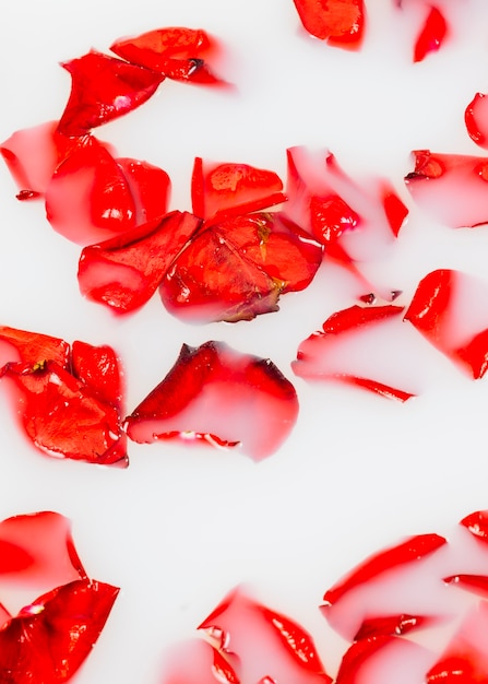 Vibrant red flower petals floating on clear white water