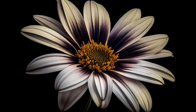 Vibrant yellow daisy head stands out against black generative AI