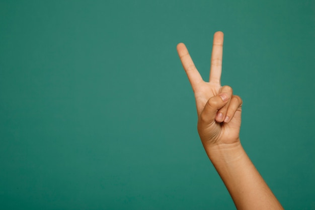 Free photo victory hand gesture