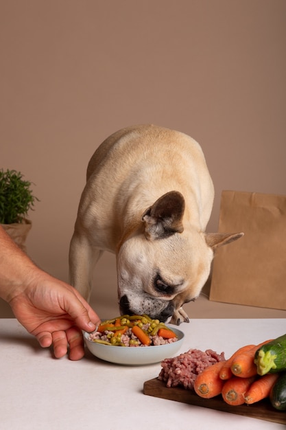 Vista dell'adorabile cane con una ciotola di cibo