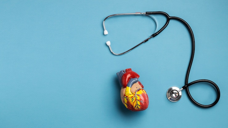 Free Photo view of anatomic heart model for educational purpose with stethoscope