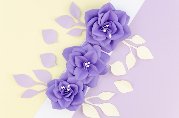 Above view arrangement with colorful flowers  and background